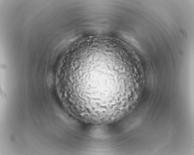 X0000091330077200708101433