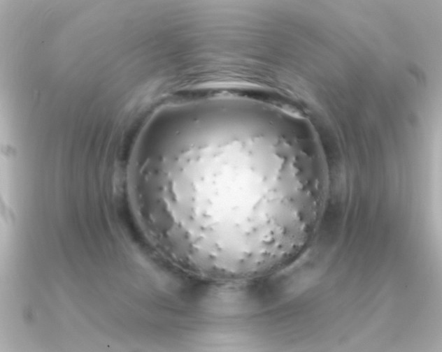 X0000091330078200708101433