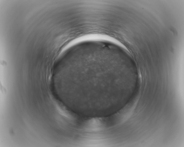 X0000091330080200708101433