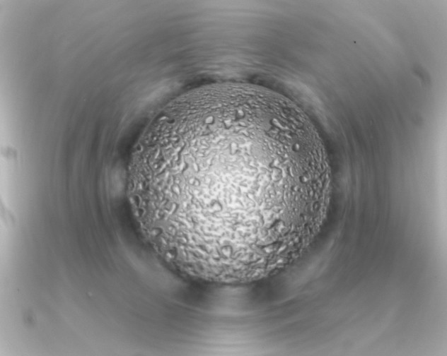 X0000091330081200708101433