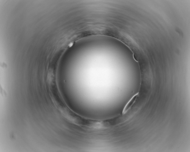 X0000091330083200708101433