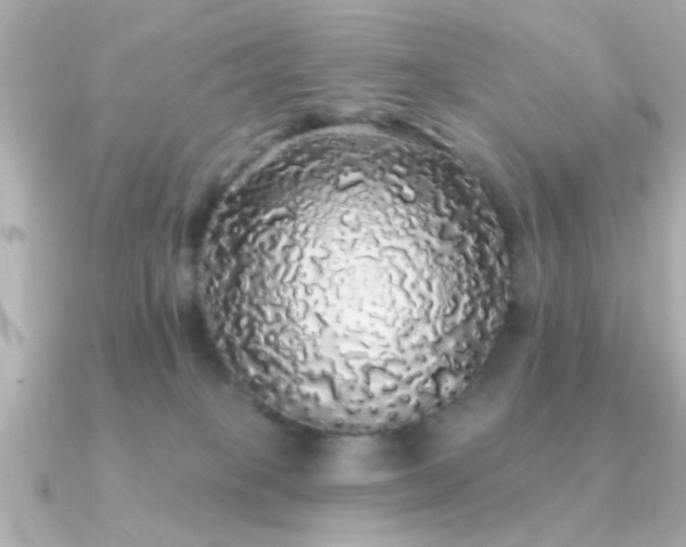 X0000091330085200708101433