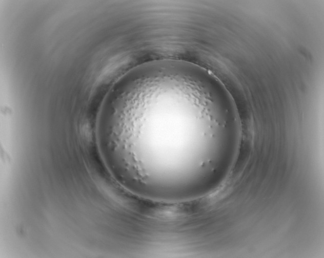 X0000091330086200708101433