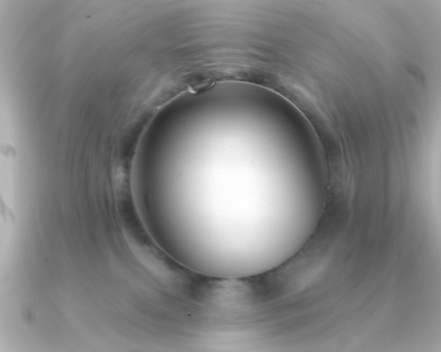 X0000091330087200708101433