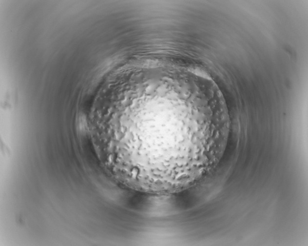 X0000091330089200708101433