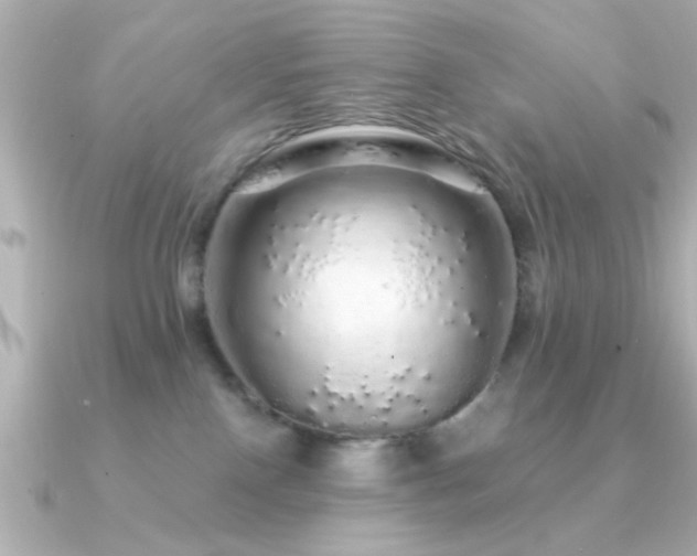 X0000091330090200708101433