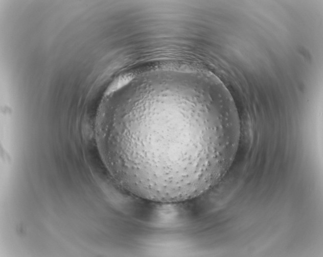 X0000091330091200708101433