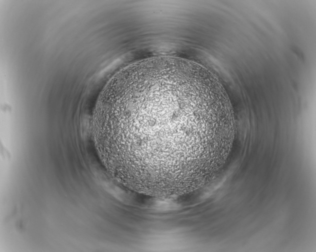 X0000091330093200708101433