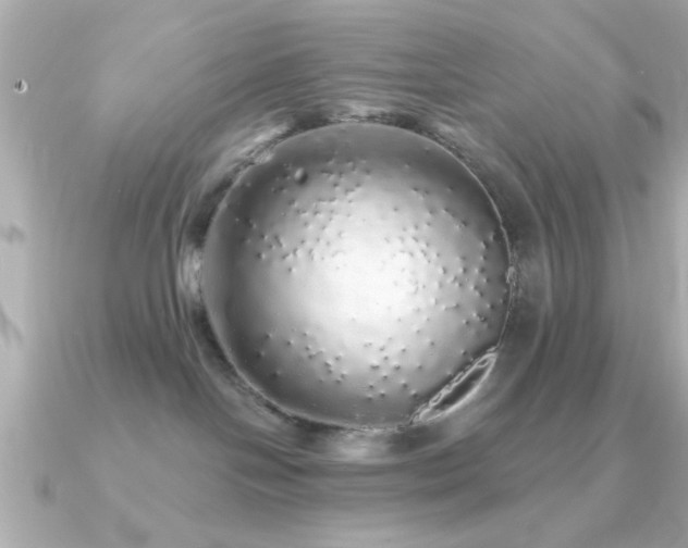 X0000091330094200708101433