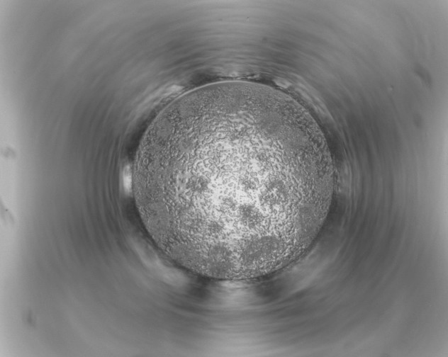 X0000091330095200708101433