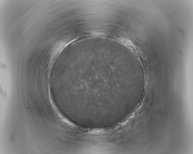 X0000091330097200708101433