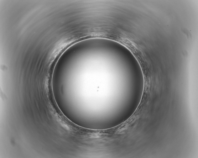 X0000091330098200708101433