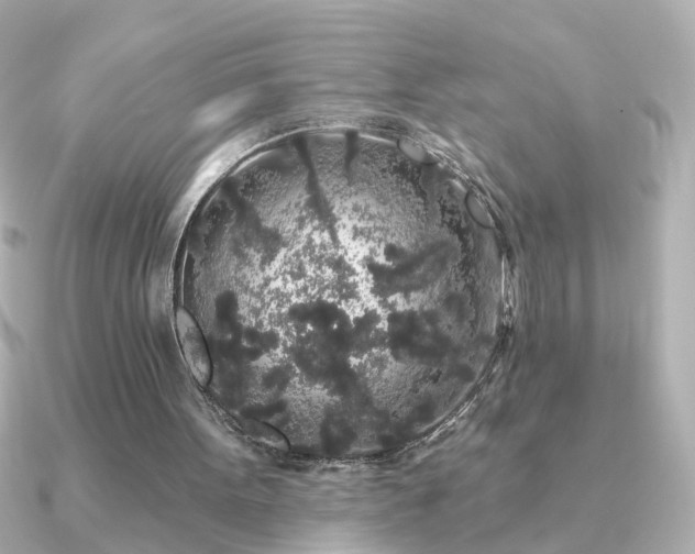 X0000091330099200708101433