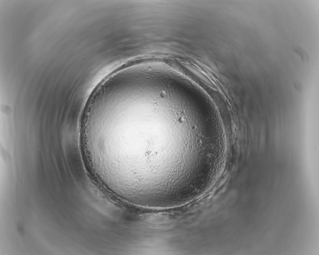 X0000091330100200708101433