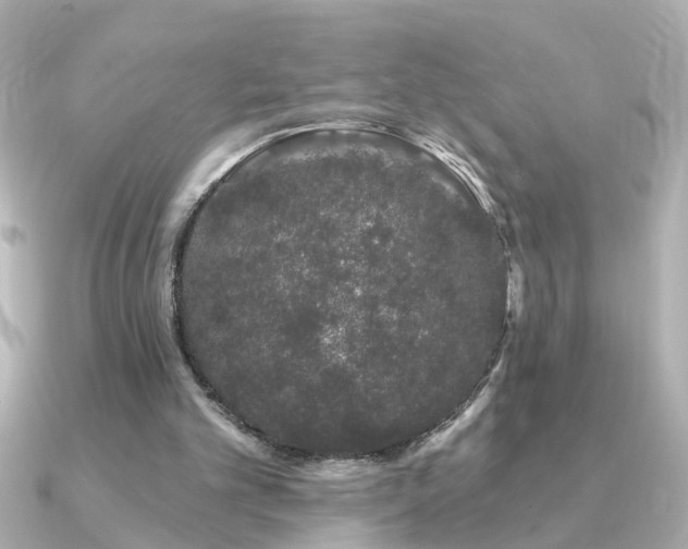 X0000091330101200708101433