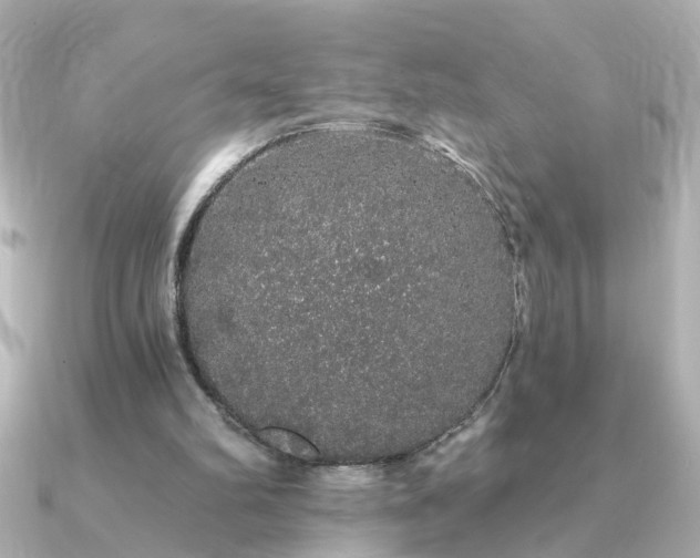 X0000091330102200708101433