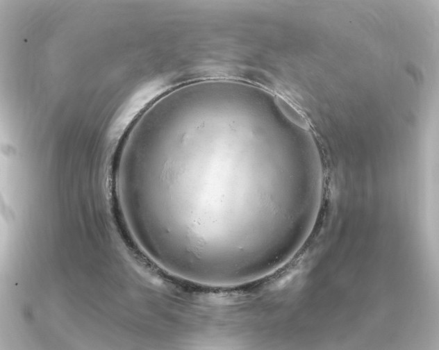 X0000091330103200708101433