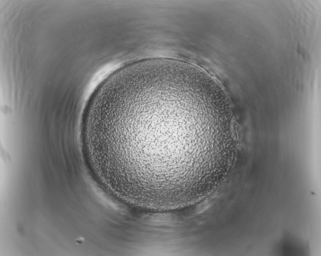 X0000091330104200708101433