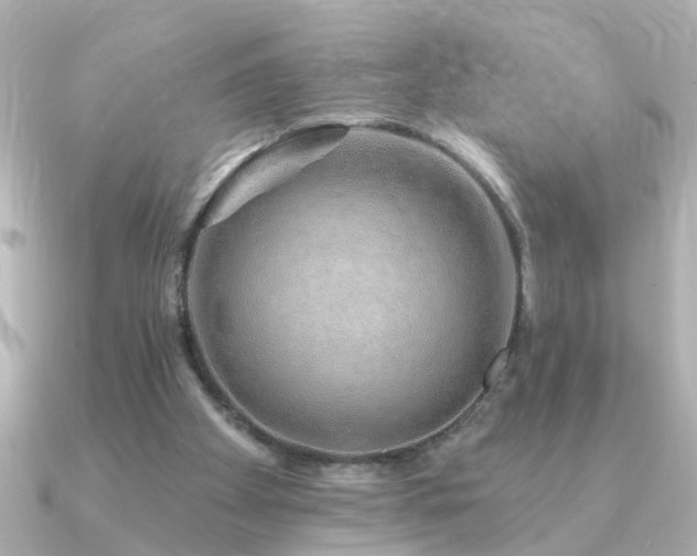 X0000091330105200708101433