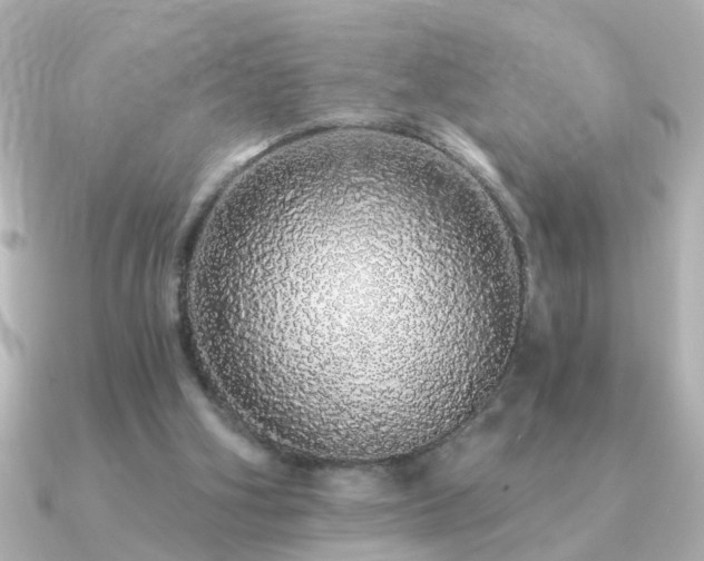 X0000091330106200708101433