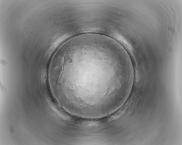 X0000091330107200708101433