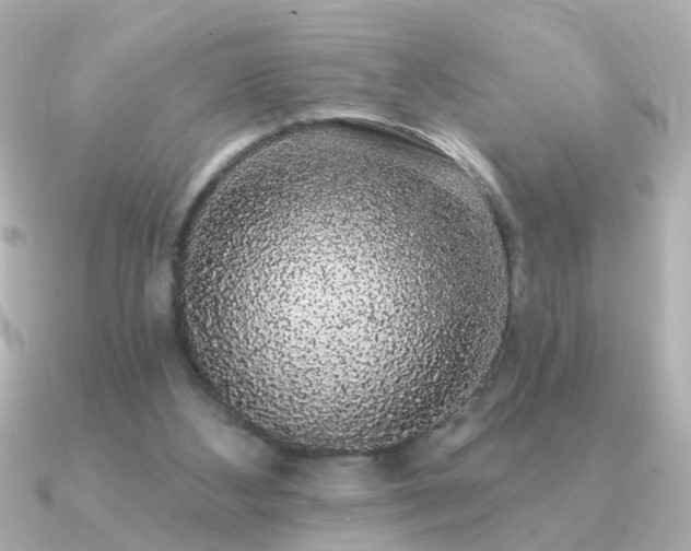 X0000091330108200708101433