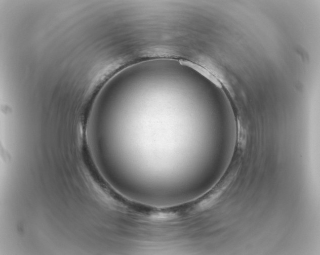 X0000091330109200708101433