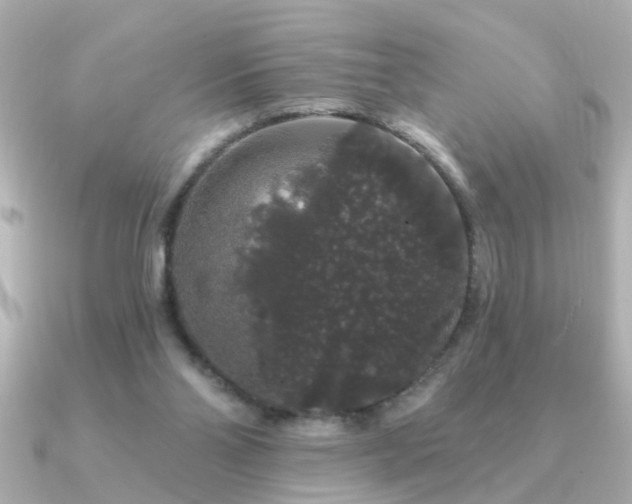 X0000091330110200708101433