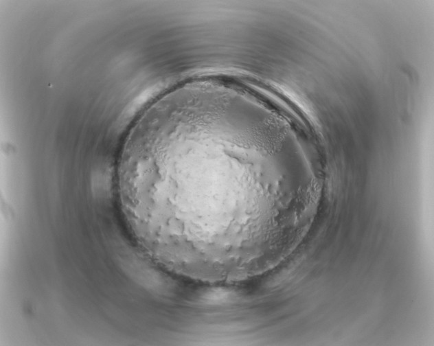 X0000091330111200708101433