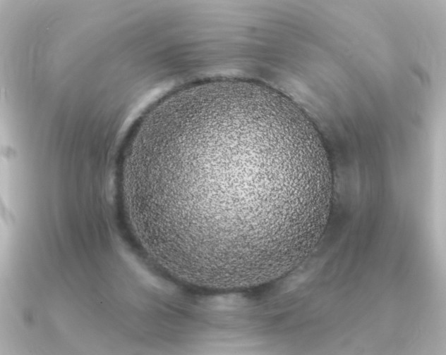 X0000091330112200708101433