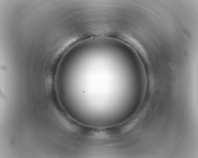 X0000091330113200708101433