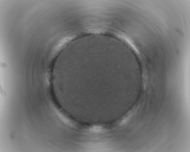 X0000091330114200708101433