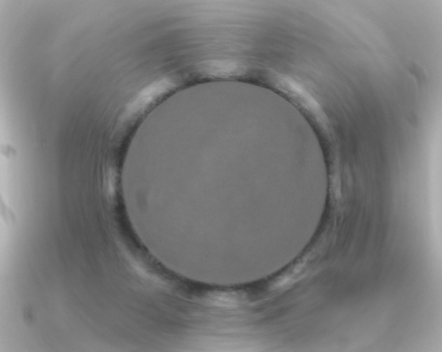 X0000091330115200708101433