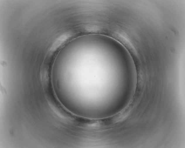 X0000091330116200708101433