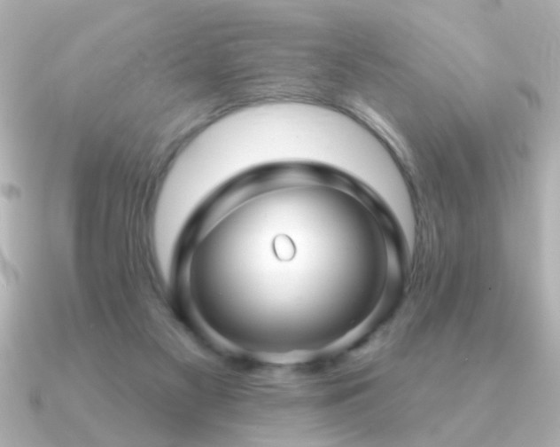 X0000091330117200708101433