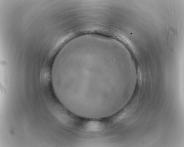 X0000091330119200708101433