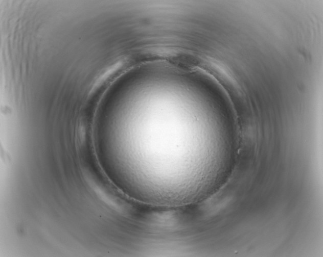 X0000091330120200708101433