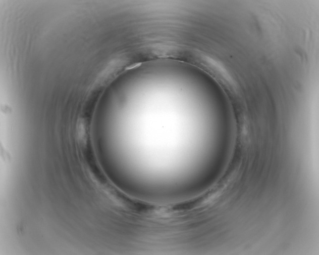 X0000091330121200708101433