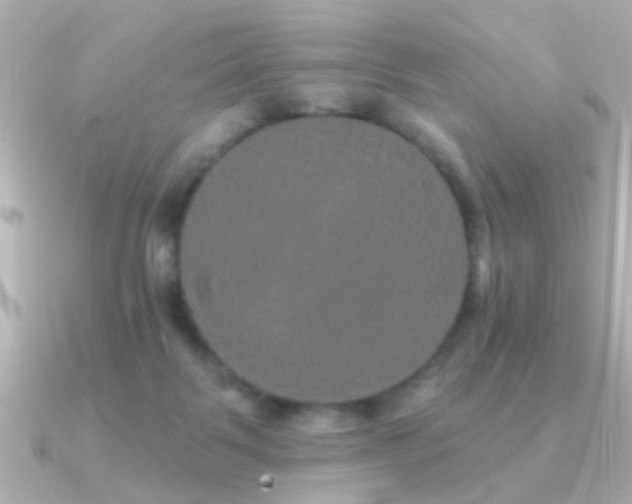 X0000091330123200708101433