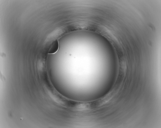 X0000091330126200708101432