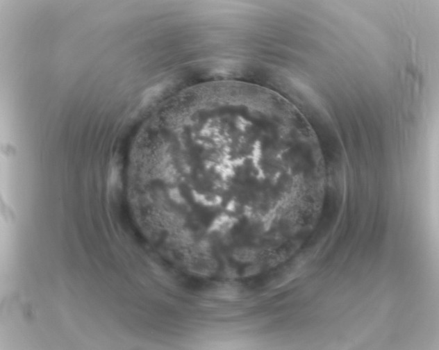 X0000091330127200708101432