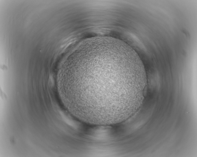 X0000091330128200708101432