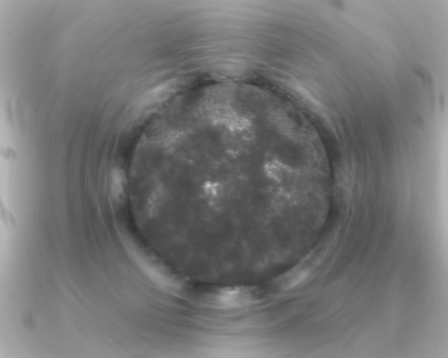 X0000091330130200708101432