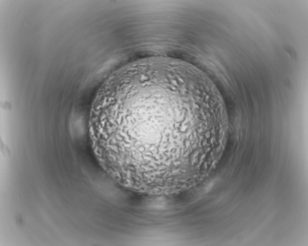 X0000091330131200708101432