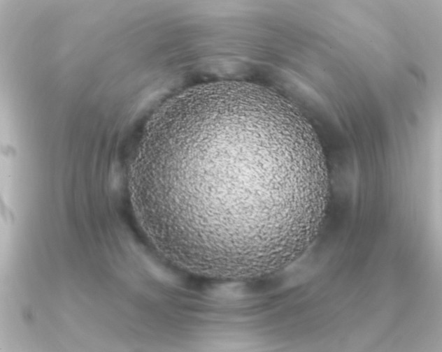 X0000091330132200708101432