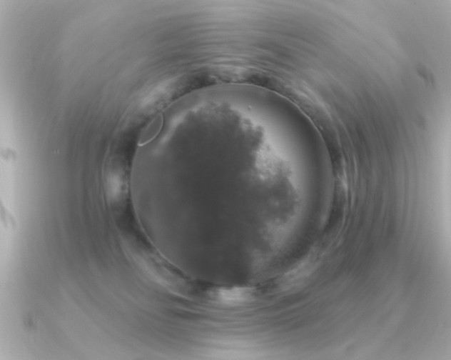 X0000091330134200708101432