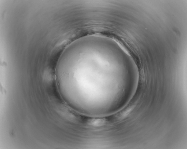 X0000091330135200708101432