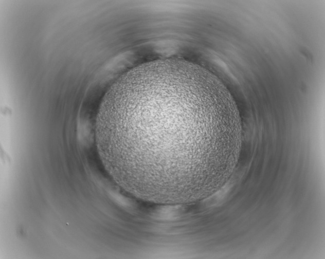 X0000091330136200708101432