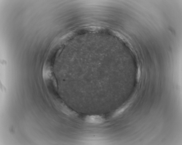 X0000091330137200708101432