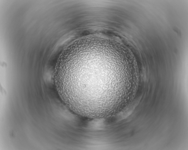 X0000091330138200708101432